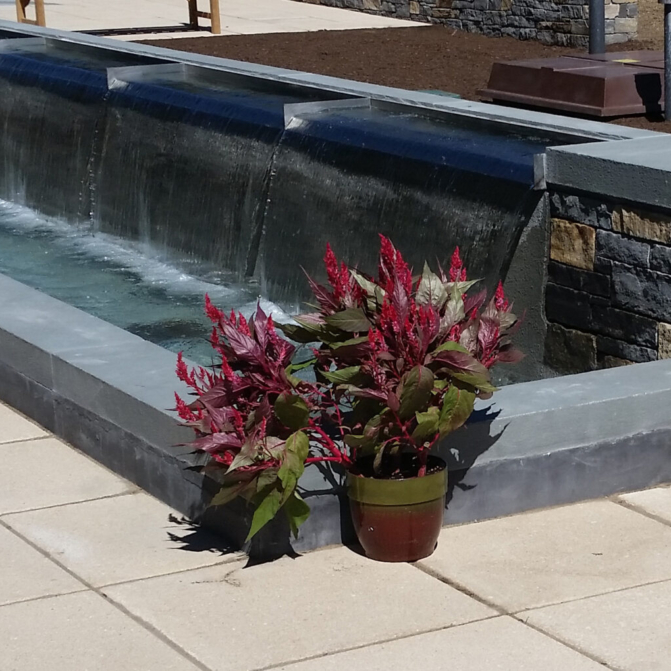 Knauss Terrace Fountain Project